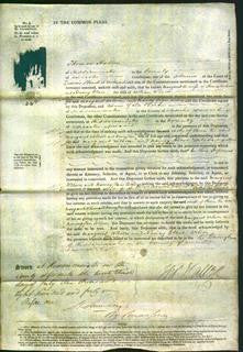 Court of Common Pleas - Margaret Wilson and Nancy Clare Wilson-Original Ancestry