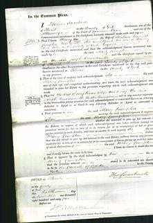 Court of Common Pleas - Mary Crompton-Original Ancestry