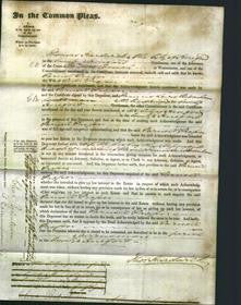 Court of Common Pleas - Parnell Prosser-Original Ancestry