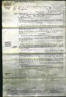 Court of Common Pleas - Jane Best-Original Ancestry