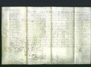 Court of Common Pleas - Anna Maria Raine-Original Ancestry