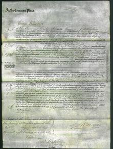 Court of Common Pleas - Ann Smith and Elizabeth Nixon-Original Ancestry