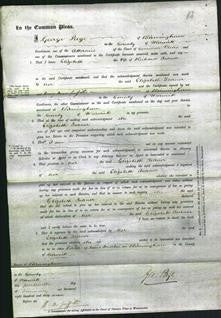 Court of Common Pleas - Elizabeth Turner-Original Ancestry