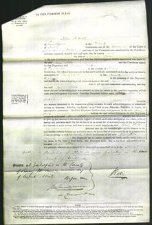 Court of Common Pleas - Ann Peto-Original Ancestry