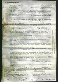 Court of Common Pleas - Sarah Briggs-Original Ancestry