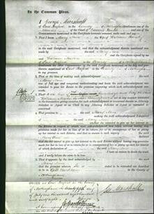 Court of Common Pleas - Mary Ann Hemsley-Original Ancestry