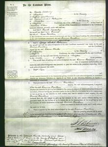 Court of Common Pleas - Emma Bartlam-Original Ancestry