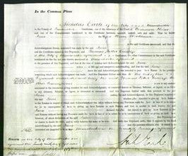 Court of Common Pleas - Jane Woodhouse-Original Ancestry