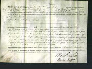 Deed by Married Women - Charlotte Augusta Wood-Original Ancestry