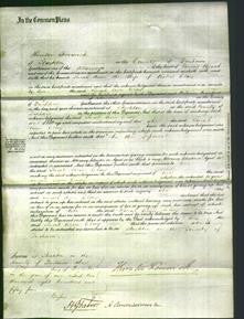 Court of Common Pleas - Sarah Ann Clay-Original Ancestry