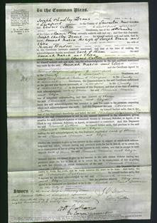 Court of Common Pleas - Hannah Maria Drane and Eliza Borders-Original Ancestry