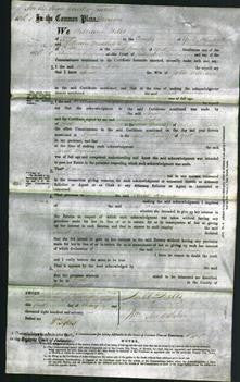 Court of Common Pleas - Sarah Bowman-Original Ancestry