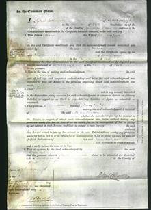 Court of Common Pleas - Mary Watson-Original Ancestry