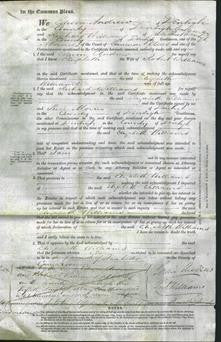 Court of Common Pleas - Elizabeth Williams