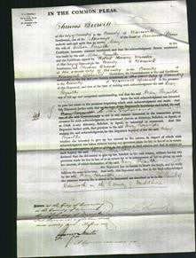 Court of Common Pleas - Mary Reynolds-Original Ancestry