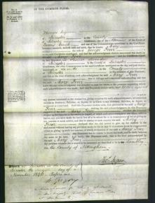 Court of Common Pleas - Mary Freer-Original Ancestry