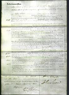 Court of Common Pleas - Maria Colley-Original Ancestry