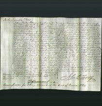 Court of Common Pleas - Susanna Magill-Original Ancestry