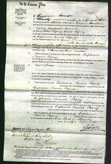 Court of Common Pleas - Euphemia Jamina Hepney-Original Ancestry