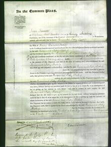 Court of Common Pleas - Rosamond Patty Bishop-Original Ancestry