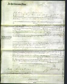 Court of Common Pleas - Hannah Beedzler-Original Ancestry