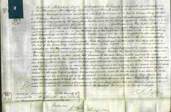 Court of Common Pleas - Mary Maples-Original Ancestry