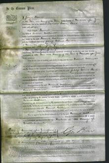 Court of Common Pleas - Hannah Wilkinson-Original Ancestry