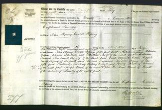 Deed by Married Women - Euphemia Jamina Hepney-Original Ancestry