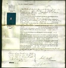 Court of Common Pleas - Julia Ann Dobie-Original Ancestry