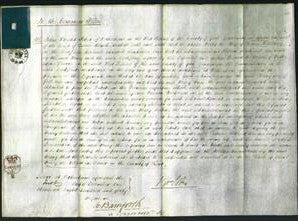 Court of Common Pleas - Mary Blackley-Original Ancestry