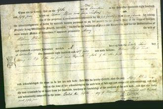 Deed by Married Women - Mary White-Original Ancestry