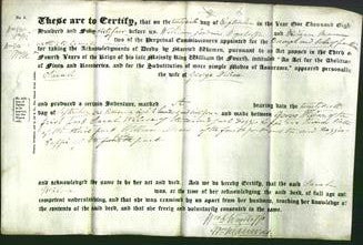 Deed by Married Women - Sarah Wilcox-Original Ancestry