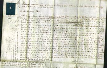 Court of Common Pleas - Ann Mitchell-Original Ancestry