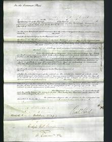 Court of Common Pleas - Sarah Andrews-Original Ancestry