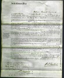 Court of Common Pleas - Sarah Cracknell-Original Ancestry