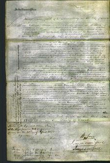 Court of Common Pleas - Hannah Eliza Bowes-Original Ancestry