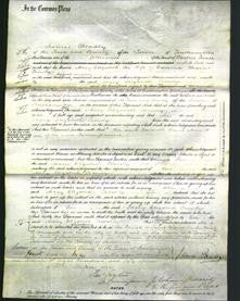 Court of Common Pleas - Mary Elizabeth Crowly-Original Ancestry