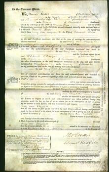 Court of Common Pleas - Mary Ann Elizabeth Cross-Original Ancestry