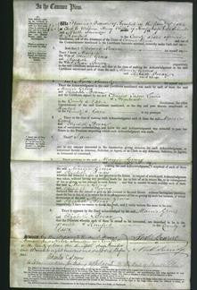 Court of Common Pleas - Marcia Groves and Elizabeth Bovay-Original Ancestry