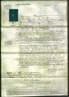 Court of Common Pleas - Sarah Ann Marshall-Original Ancestry