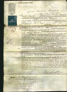 Court of Common Pleas - Mary Shalders-Original Ancestry