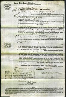 Court of Common Pleas - Mary Jane Barrington-Original Ancestry