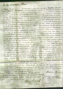 Court of Common Pleas - Ann Rudd-Original Ancestry