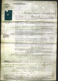 Court of Common Pleas - Henrietta Morris-Original Ancestry