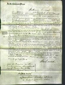 Court of Common Pleas - Ellen Tribe-Original Ancestry
