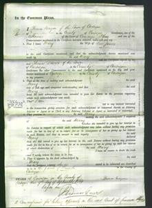 Court of Common Pleas - Mary James-Original Ancestry