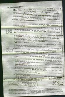 Court of Common Pleas - Jane Guy Chambers-Original Ancestry