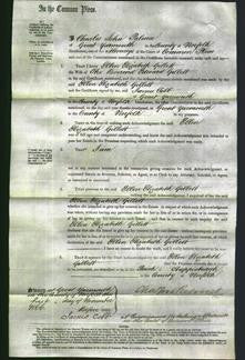 Court of Common Pleas - Elizabeth Gillett-Original Ancestry