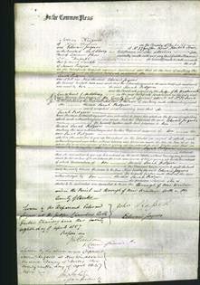 Court of Common Pleas - Sarah Pidgeon-Original Ancestry