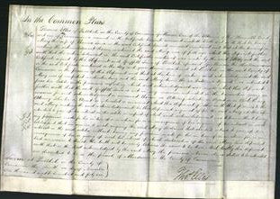 Court of Common Pleas - Mary Jones-Original Ancestry